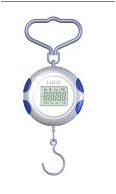Luggage Scale (LS-R)